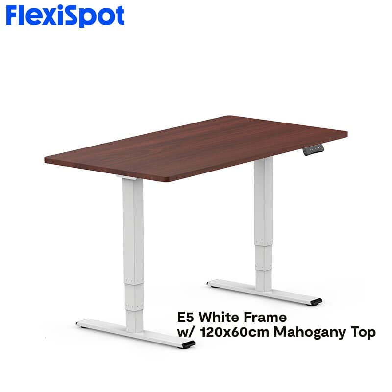 FlexiSpot E5 Standard Standing Desk Height Adjustable 2-Motor 3-Stage Reversed Column