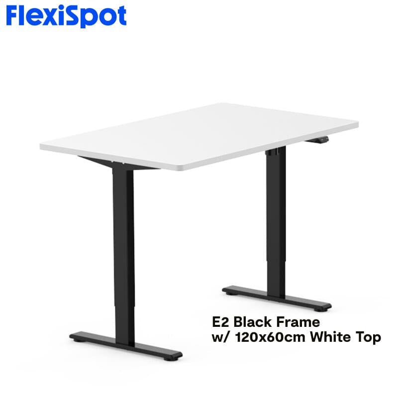 FlexiSpot E2 Standing Desk Height Adjustable Table Single Motor Ergonomic Sit-to-Stand Workstation