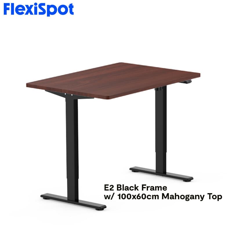 FlexiSpot E2 Standing Desk Height Adjustable Table Single Motor Ergonomic Sit-to-Stand Workstation