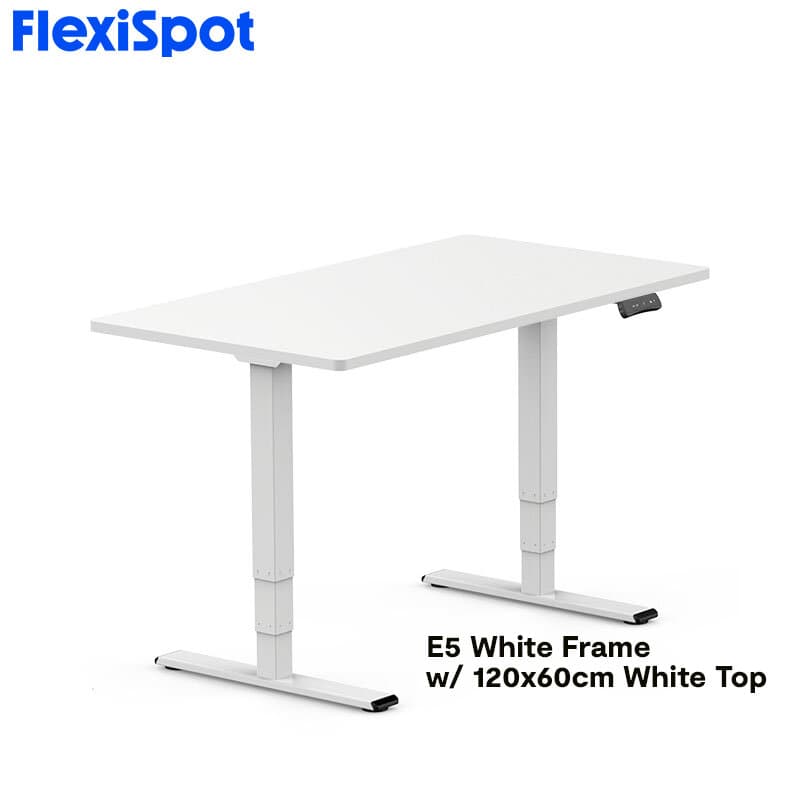 FlexiSpot E5 Standard Standing Desk Height Adjustable 2-Motor 3-Stage Reversed Column