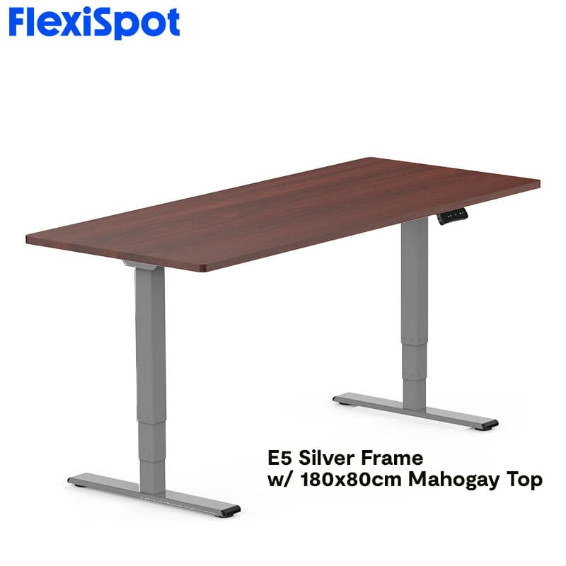 FlexiSpot E5 Standard Standing Desk Height Adjustable 2-Motor 3-Stage Reversed Column
