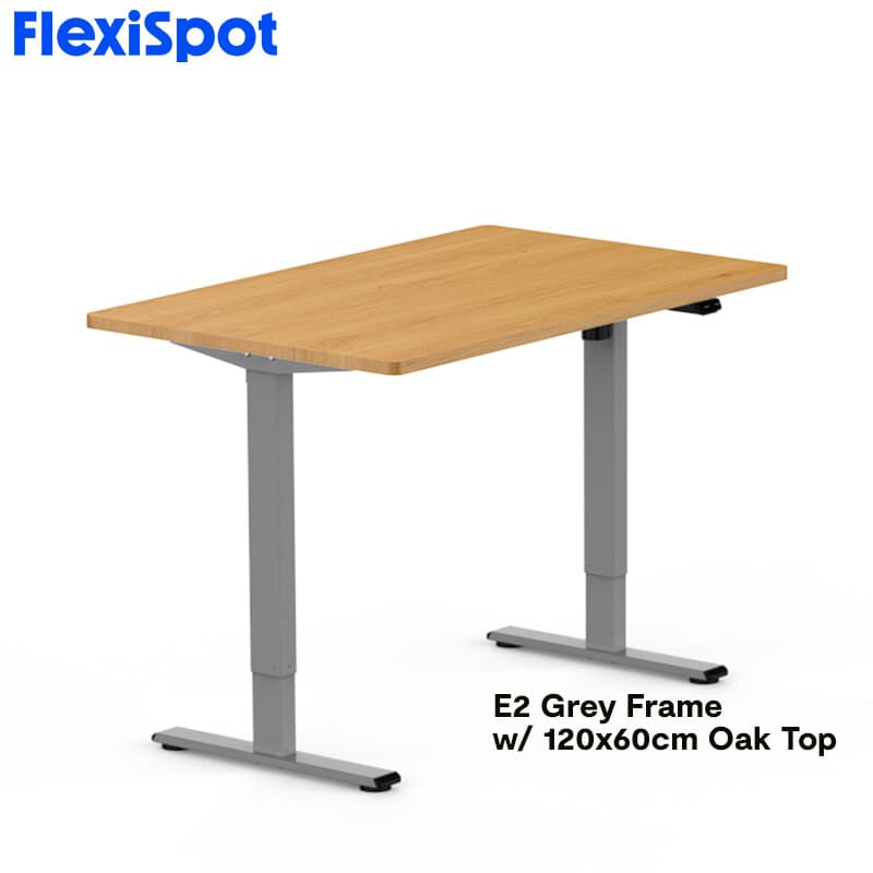 FlexiSpot E2 Standing Desk Height Adjustable Table Single Motor Ergonomic Sit-to-Stand Workstation