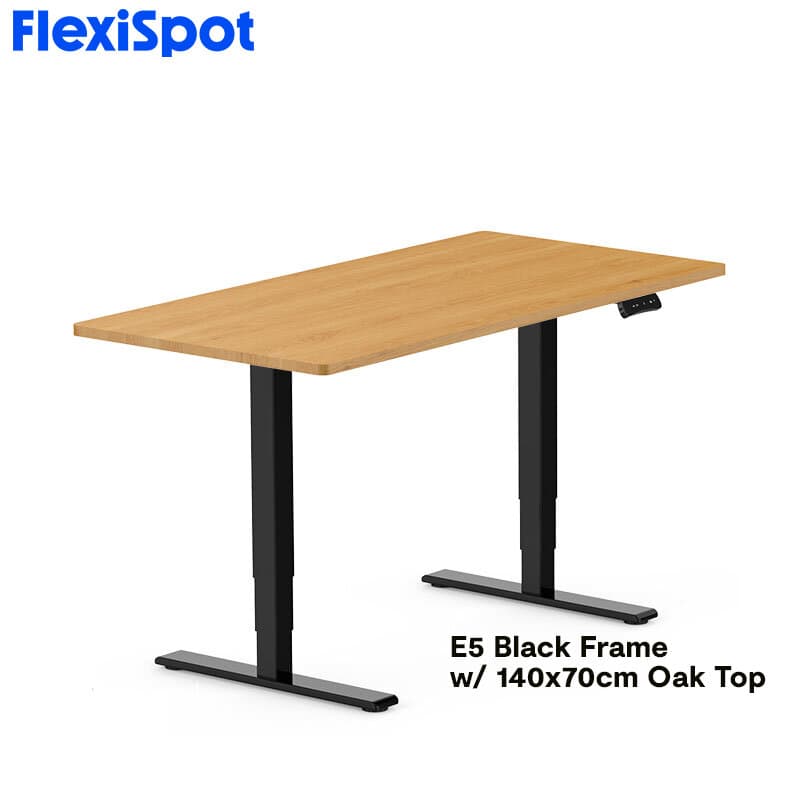 FlexiSpot E5 Standard Standing Desk Height Adjustable 2-Motor 3-Stage Reversed Column