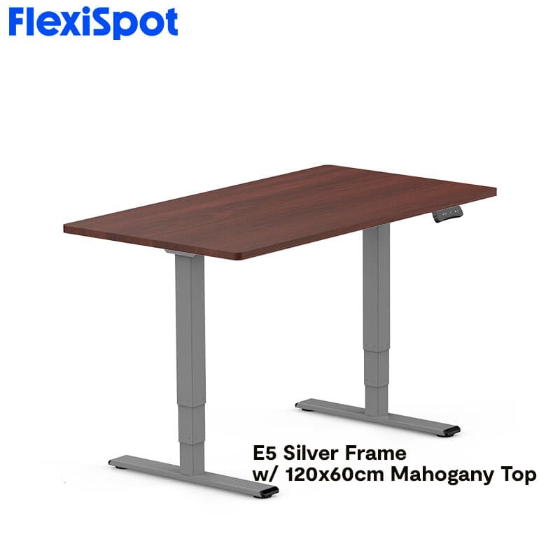 FlexiSpot E5 Standard Standing Desk Height Adjustable 2-Motor 3-Stage Reversed Column