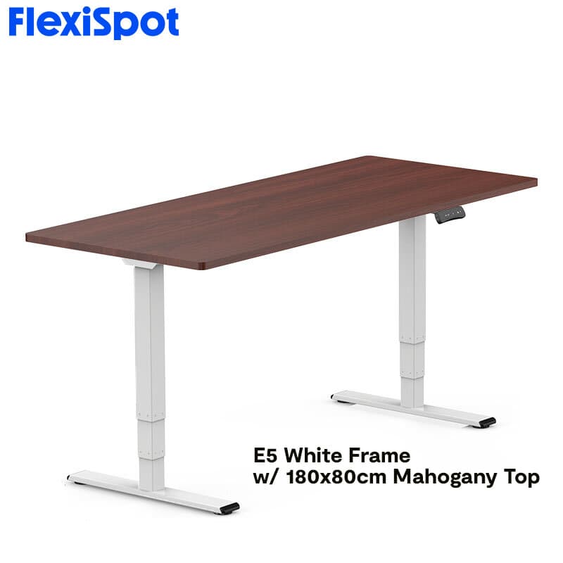 FlexiSpot E5 Standard Standing Desk Height Adjustable 2-Motor 3-Stage Reversed Column