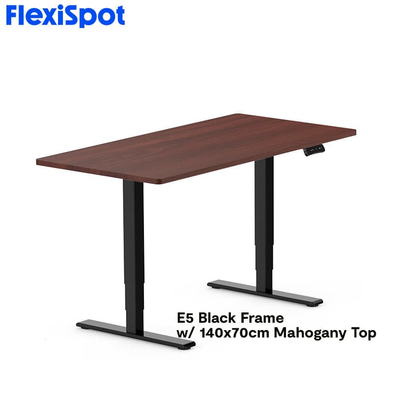FlexiSpot E5 Standard Standing Desk Height Adjustable 2-Motor 3-Stage Reversed Column