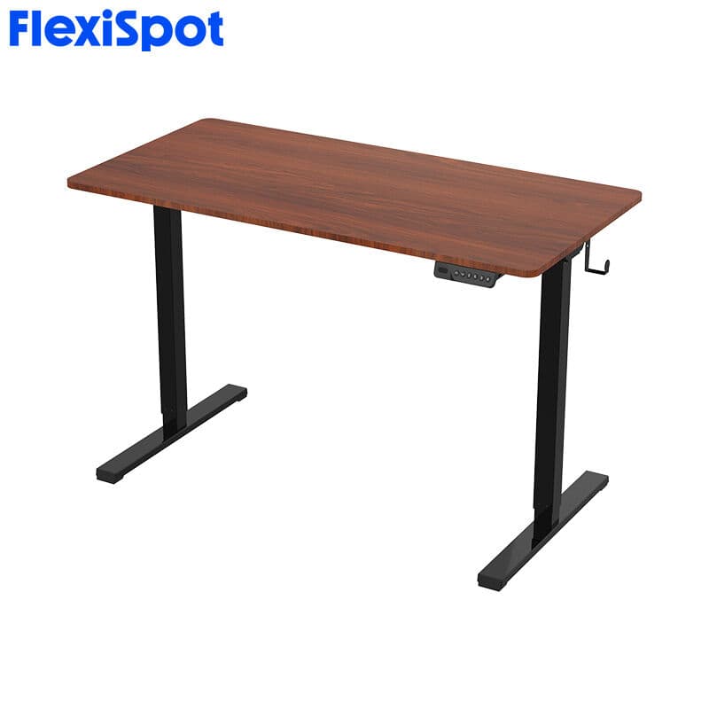 Deskey E150 Essential Plus Standing Desk Electric Sit Stand Desk with 48 x 24 Inches Desktop with Ergonomic Memory Controller and USB Charge Port