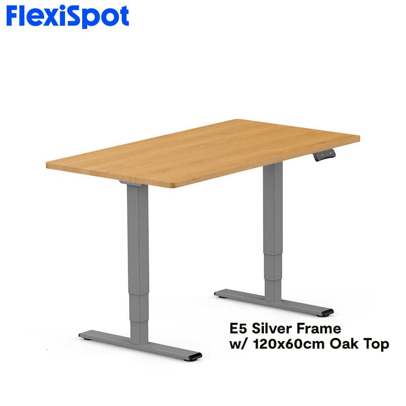 FlexiSpot E5 Standard Standing Desk Height Adjustable 2-Motor 3-Stage Reversed Column