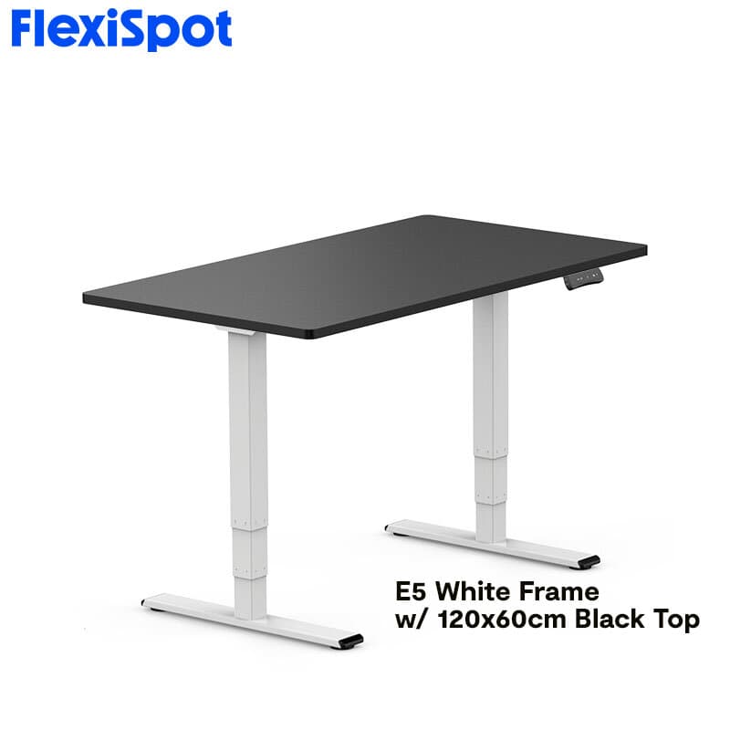 FlexiSpot E5 Standard Standing Desk Height Adjustable 2-Motor 3-Stage Reversed Column