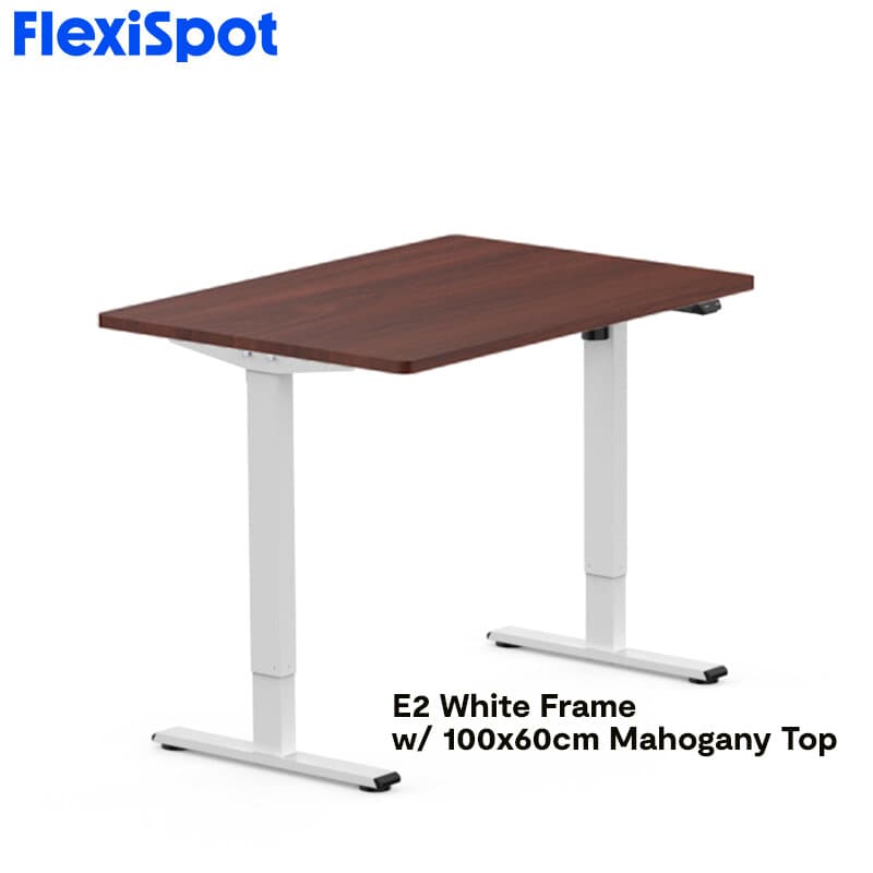 FlexiSpot E2 Standing Desk Height Adjustable Table Single Motor Ergonomic Sit-to-Stand Workstation