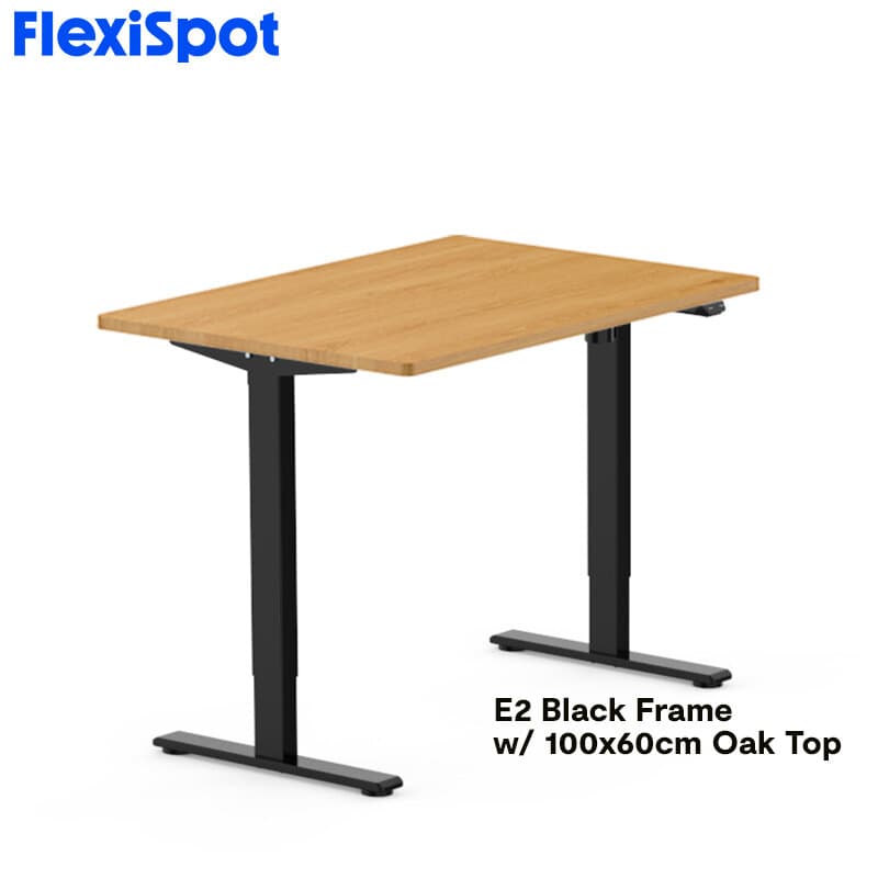 FlexiSpot E2 Standing Desk Height Adjustable Table Single Motor Ergonomic Sit-to-Stand Workstation