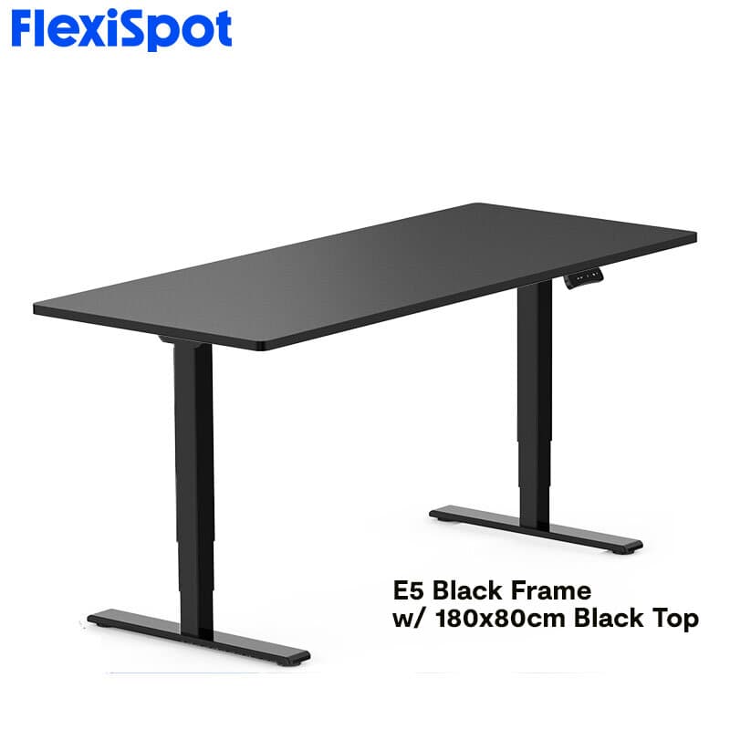FlexiSpot E5 Standard Standing Desk Height Adjustable 2-Motor 3-Stage Reversed Column