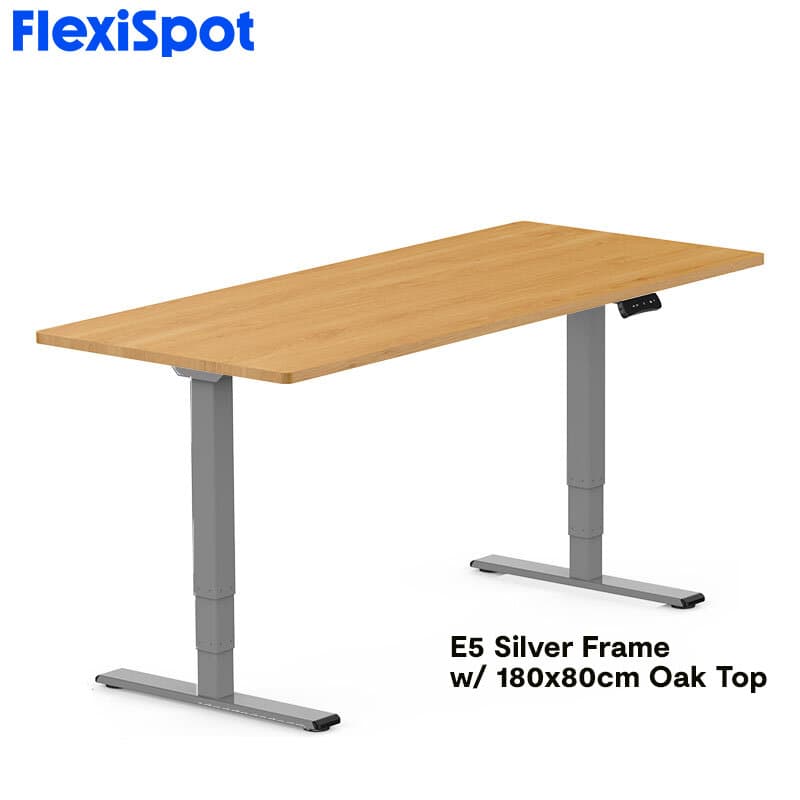 FlexiSpot E5 Standard Standing Desk Height Adjustable 2-Motor 3-Stage Reversed Column