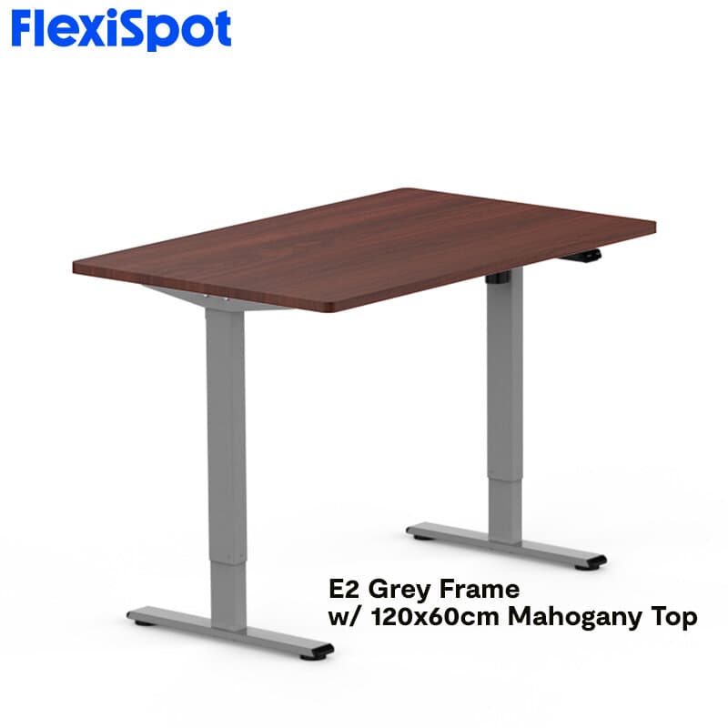 FlexiSpot E2 Standing Desk Height Adjustable Table Single Motor Ergonomic Sit-to-Stand Workstation