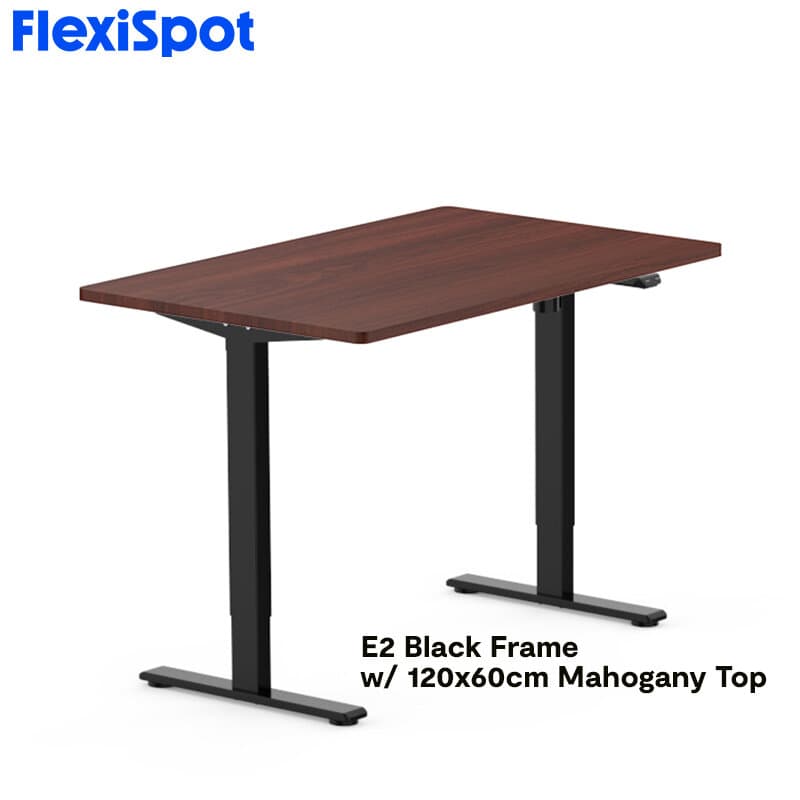 FlexiSpot E2 Standing Desk Height Adjustable Table Single Motor Ergonomic Sit-to-Stand Workstation