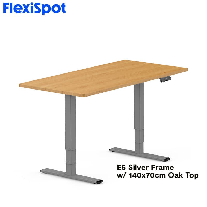 FlexiSpot E5 Standard Standing Desk Height Adjustable 2-Motor 3-Stage Reversed Column
