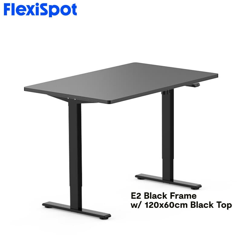 FlexiSpot E2 Standing Desk Height Adjustable Table Single Motor Ergonomic Sit-to-Stand Workstation