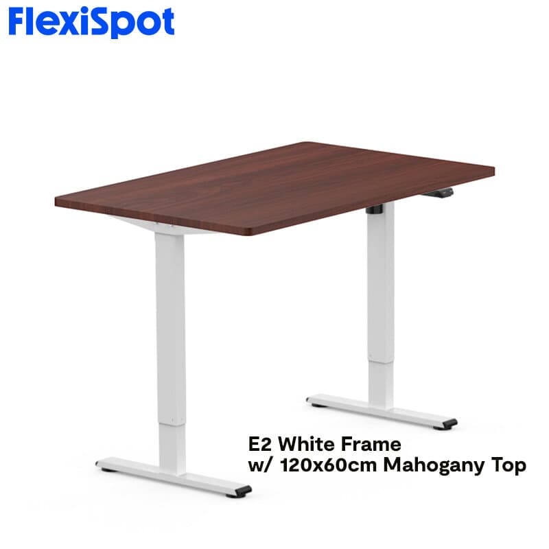 FlexiSpot E2 Standing Desk Height Adjustable Table Single Motor Ergonomic Sit-to-Stand Workstation