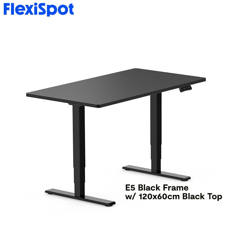 FlexiSpot E5 Standard Standing Desk Height Adjustable 2-Motor 3-Stage Reversed Column