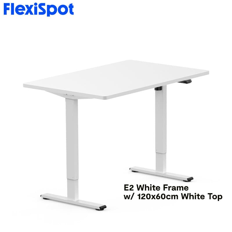 FlexiSpot E2 Standing Desk Height Adjustable Table Single Motor Ergonomic Sit-to-Stand Workstation