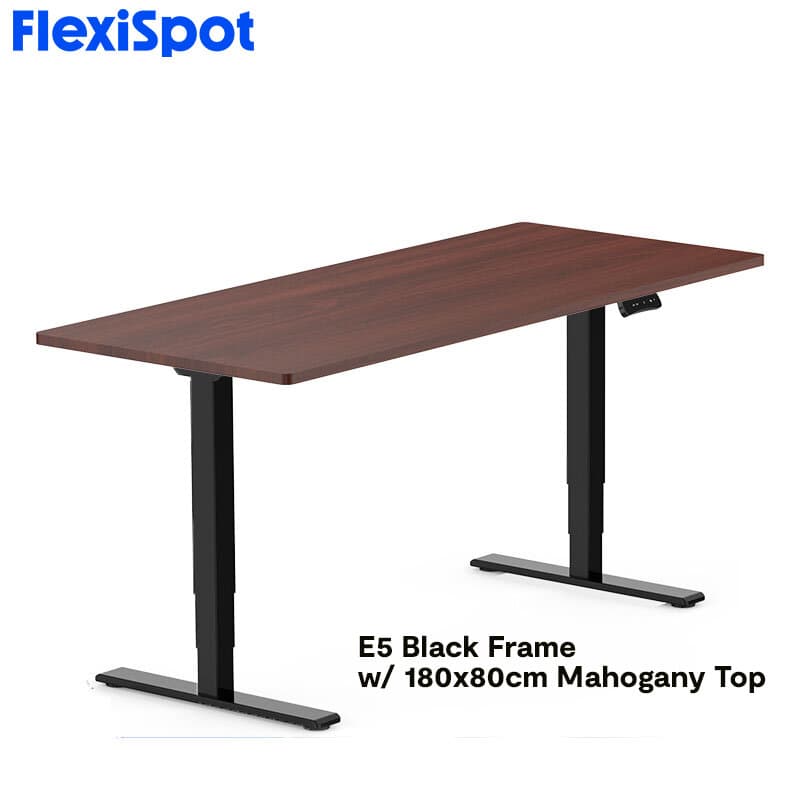 FlexiSpot E5 Standard Standing Desk Height Adjustable 2-Motor 3-Stage Reversed Column