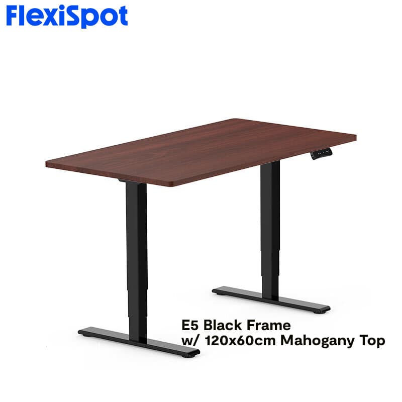 FlexiSpot E5 Standard Standing Desk Height Adjustable 2-Motor 3-Stage Reversed Column