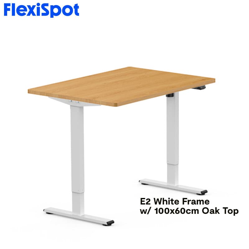 FlexiSpot E2 Standing Desk Height Adjustable Table Single Motor Ergonomic Sit-to-Stand Workstation