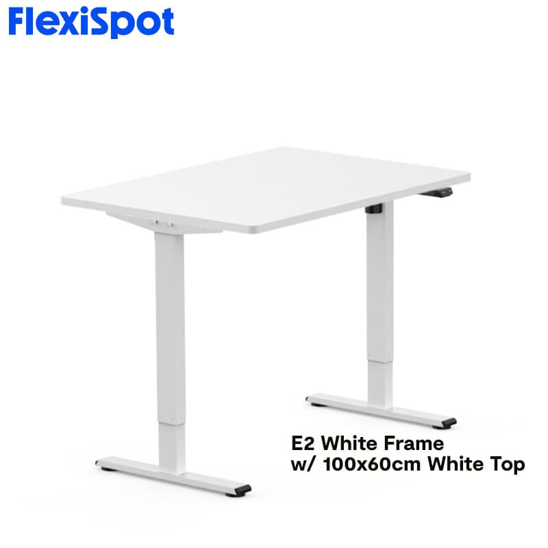 FlexiSpot E2 Standing Desk Height Adjustable Table Single Motor Ergonomic Sit-to-Stand Workstation