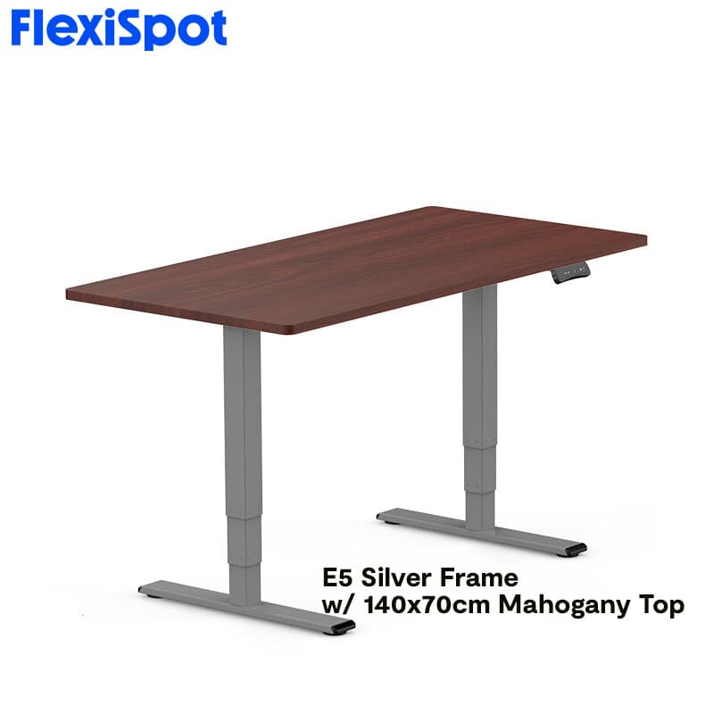 FlexiSpot E5 Standard Standing Desk Height Adjustable 2-Motor 3-Stage Reversed Column