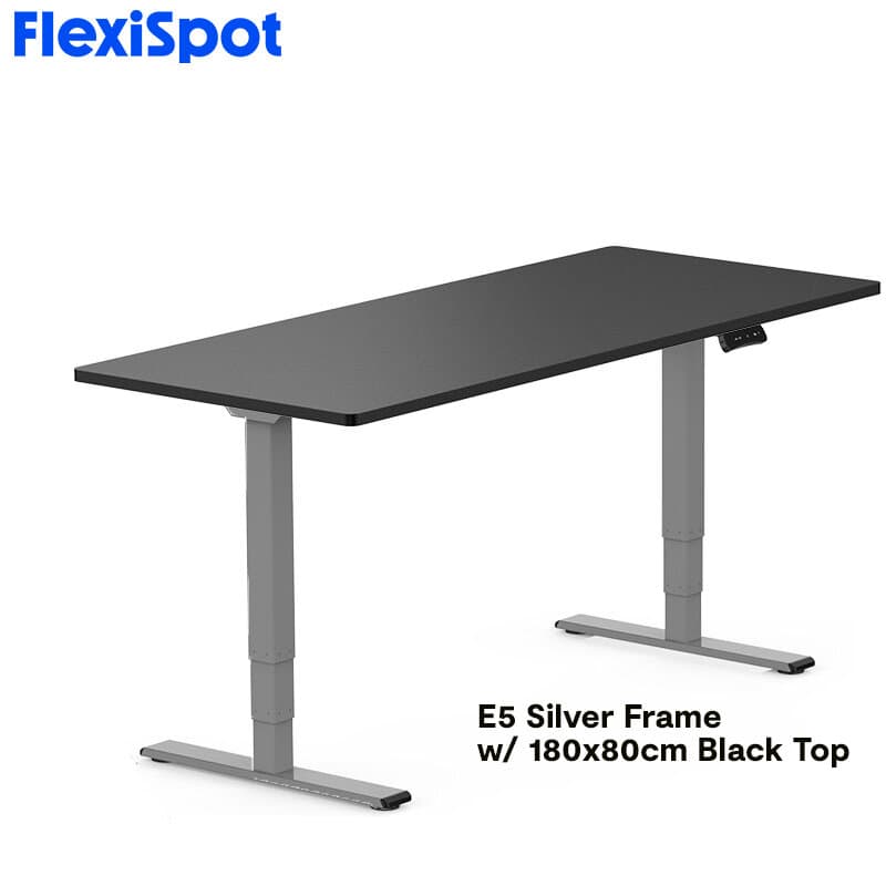 FlexiSpot E5 Standard Standing Desk Height Adjustable 2-Motor 3-Stage Reversed Column
