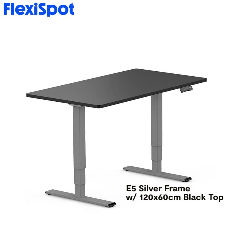 FlexiSpot E5 Standard Standing Desk Height Adjustable 2-Motor 3-Stage Reversed Column