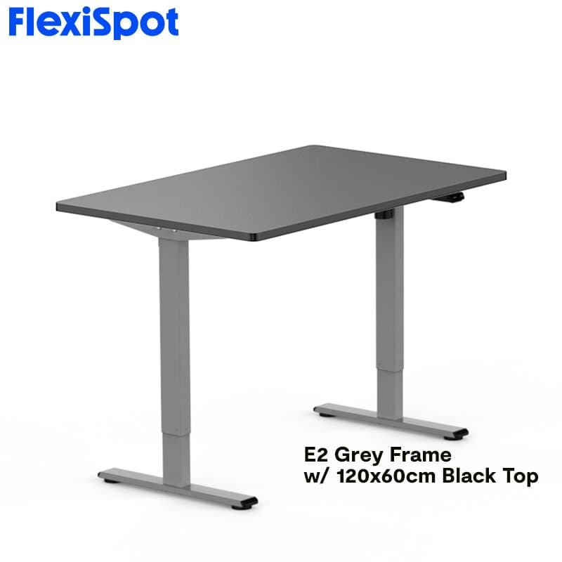 FlexiSpot E2 Standing Desk Height Adjustable Table Single Motor Ergonomic Sit-to-Stand Workstation