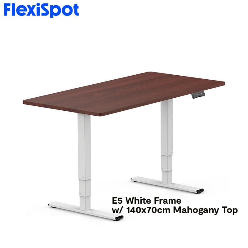 FlexiSpot E5 Standard Standing Desk Height Adjustable 2-Motor 3-Stage Reversed Column