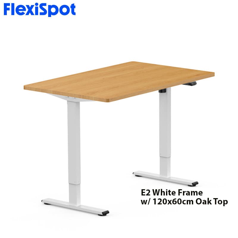 FlexiSpot E2 Standing Desk Height Adjustable Table Single Motor Ergonomic Sit-to-Stand Workstation