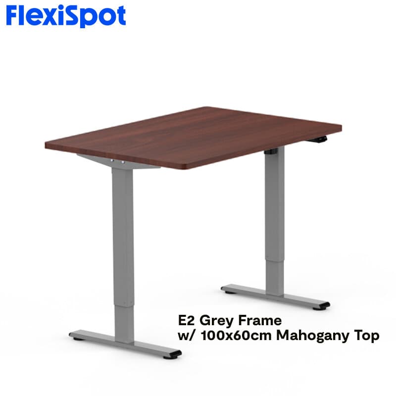 FlexiSpot E2 Standing Desk Height Adjustable Table Single Motor Ergonomic Sit-to-Stand Workstation
