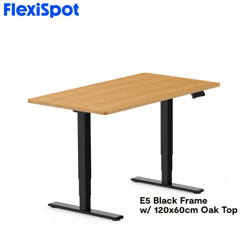 FlexiSpot E5 Standard Standing Desk Height Adjustable 2-Motor 3-Stage Reversed Column