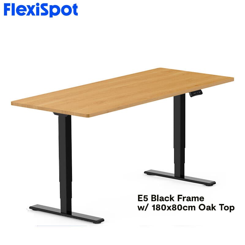 FlexiSpot E5 Standard Standing Desk Height Adjustable 2-Motor 3-Stage Reversed Column