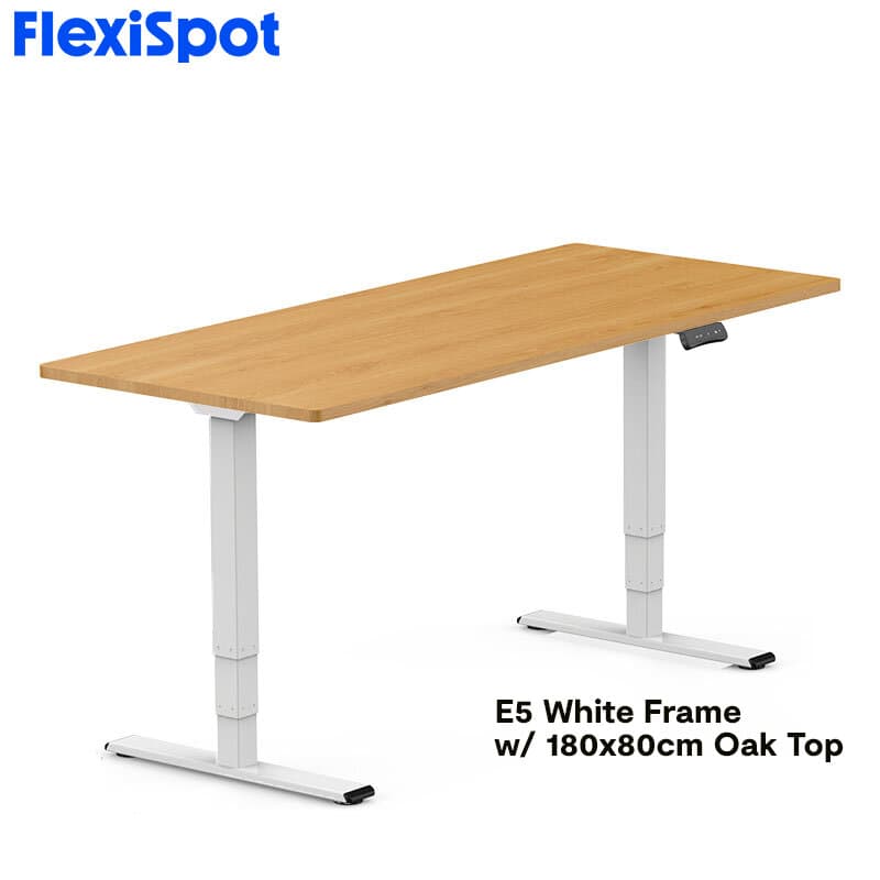FlexiSpot E5 Standard Standing Desk Height Adjustable 2-Motor 3-Stage Reversed Column