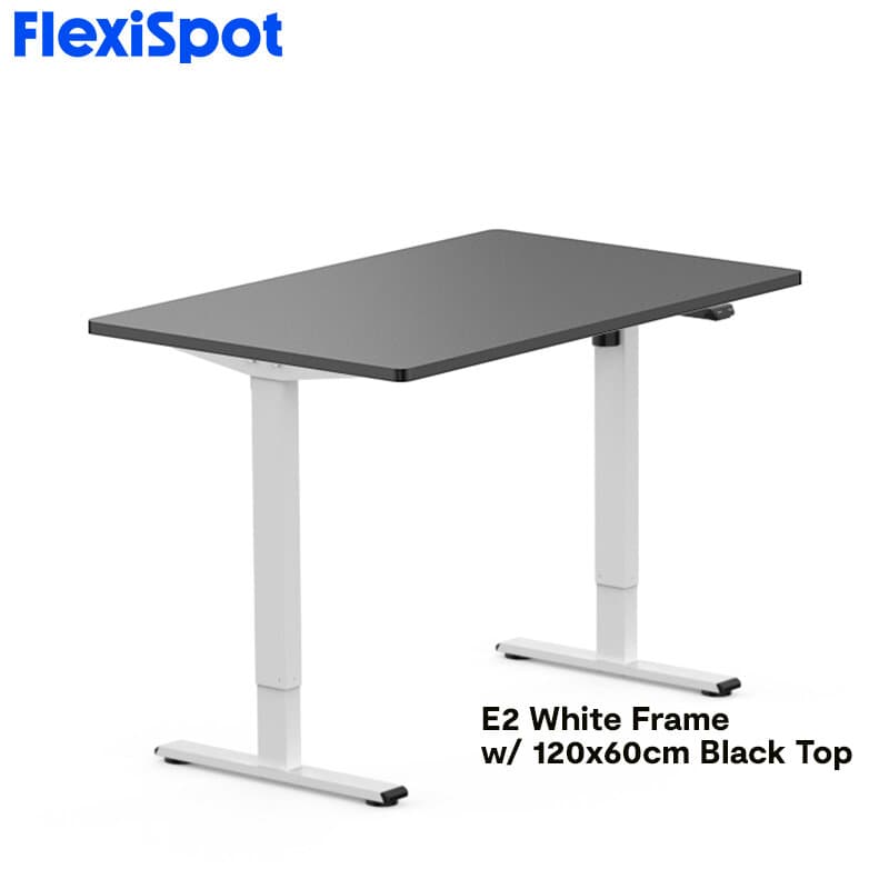 FlexiSpot E2 Standing Desk Height Adjustable Table Single Motor Ergonomic Sit-to-Stand Workstation