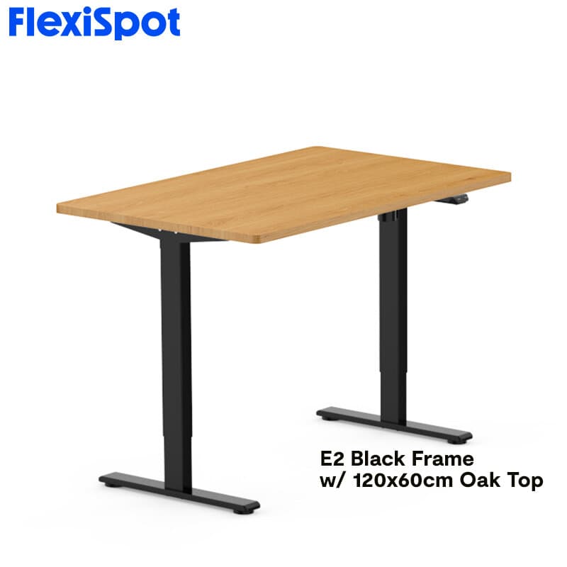FlexiSpot E2 Standing Desk Height Adjustable Table Single Motor Ergonomic Sit-to-Stand Workstation