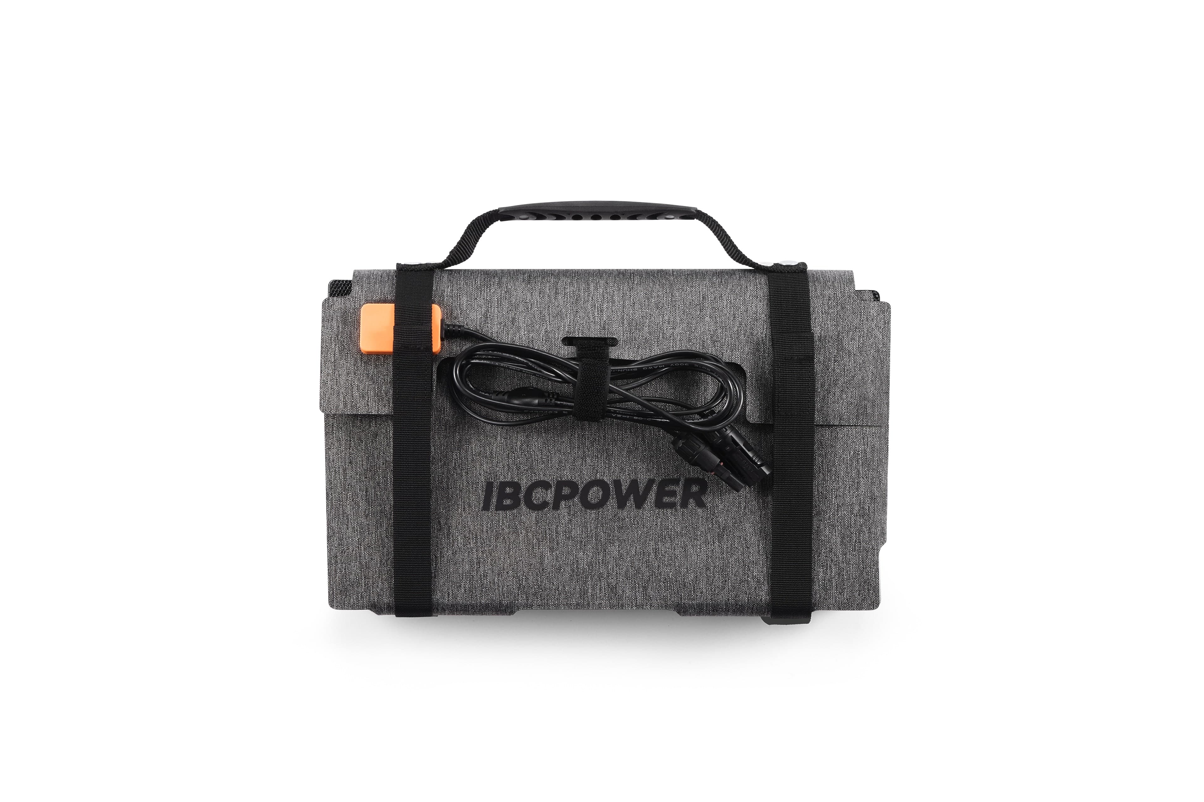 DJI Power 1000 Mini/1000 V2/1000 - 1000w Output