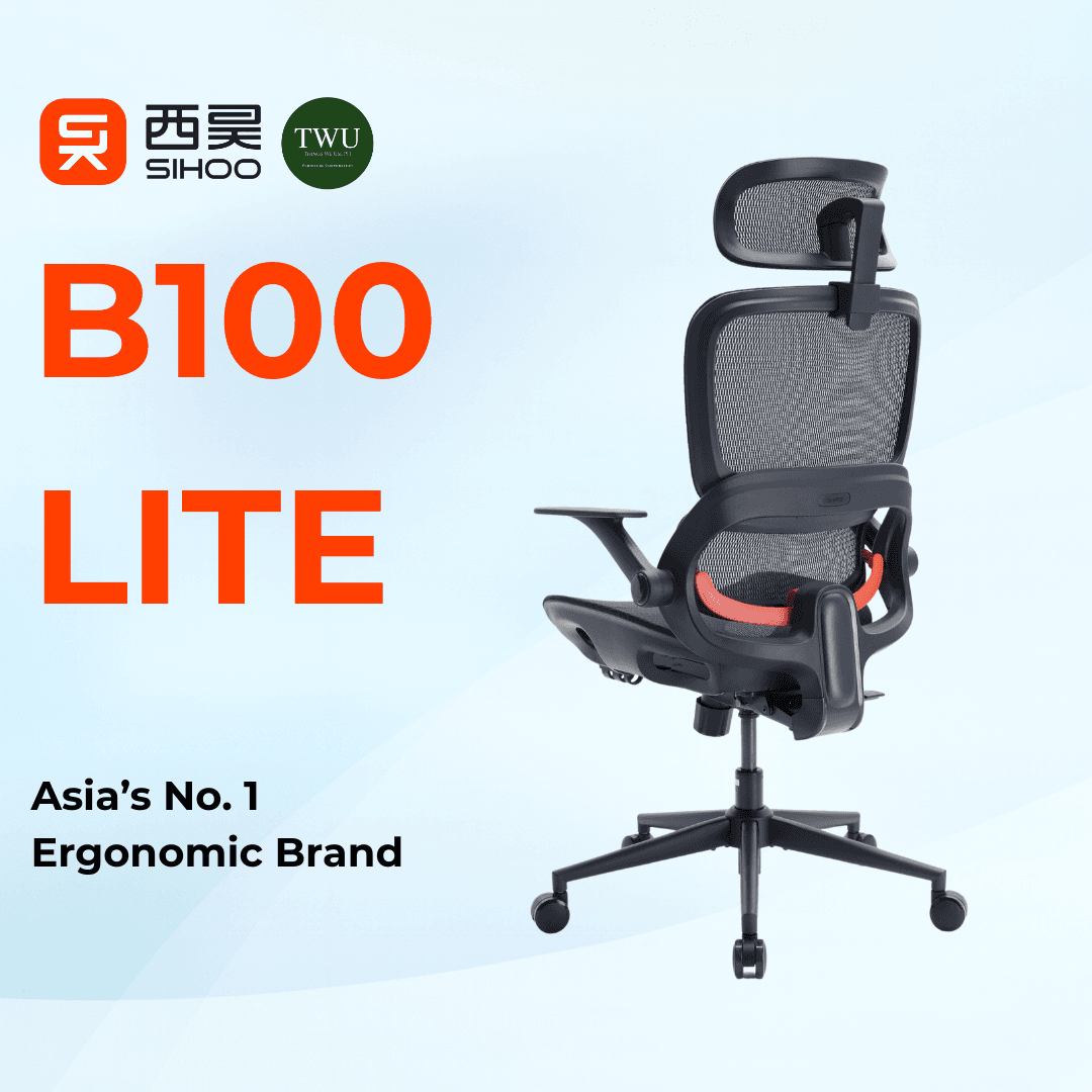 SIHOO B100 SERIES Ergonomic Office Chair with 2-Year Warranty