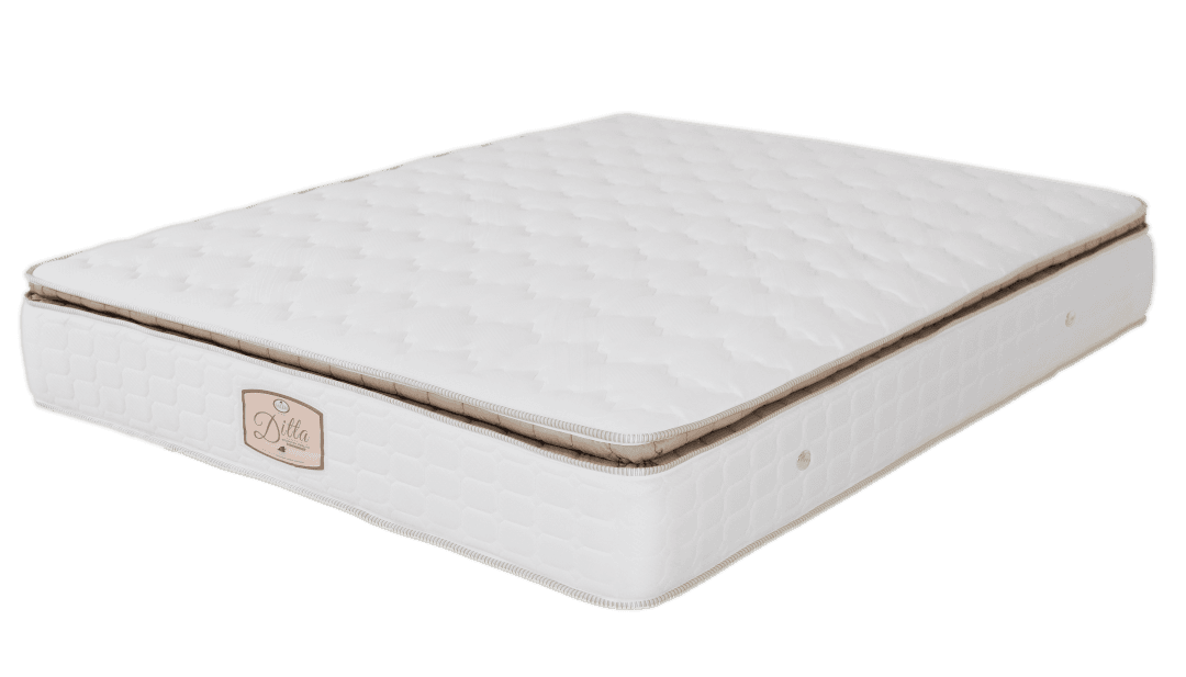 Salem Ditta 2025 Spring Mattress