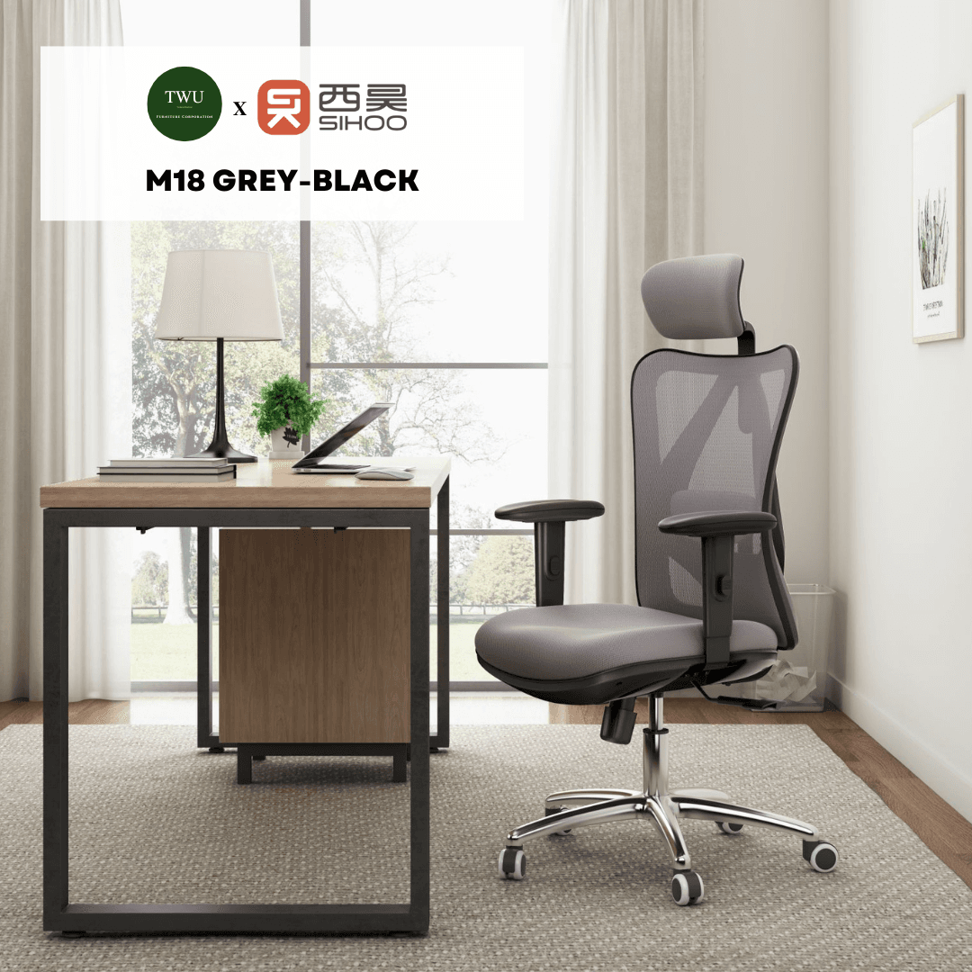 Sihoo M18 Ergonomic Office Gaming Computer Desk Chair with 2 Year Warranty