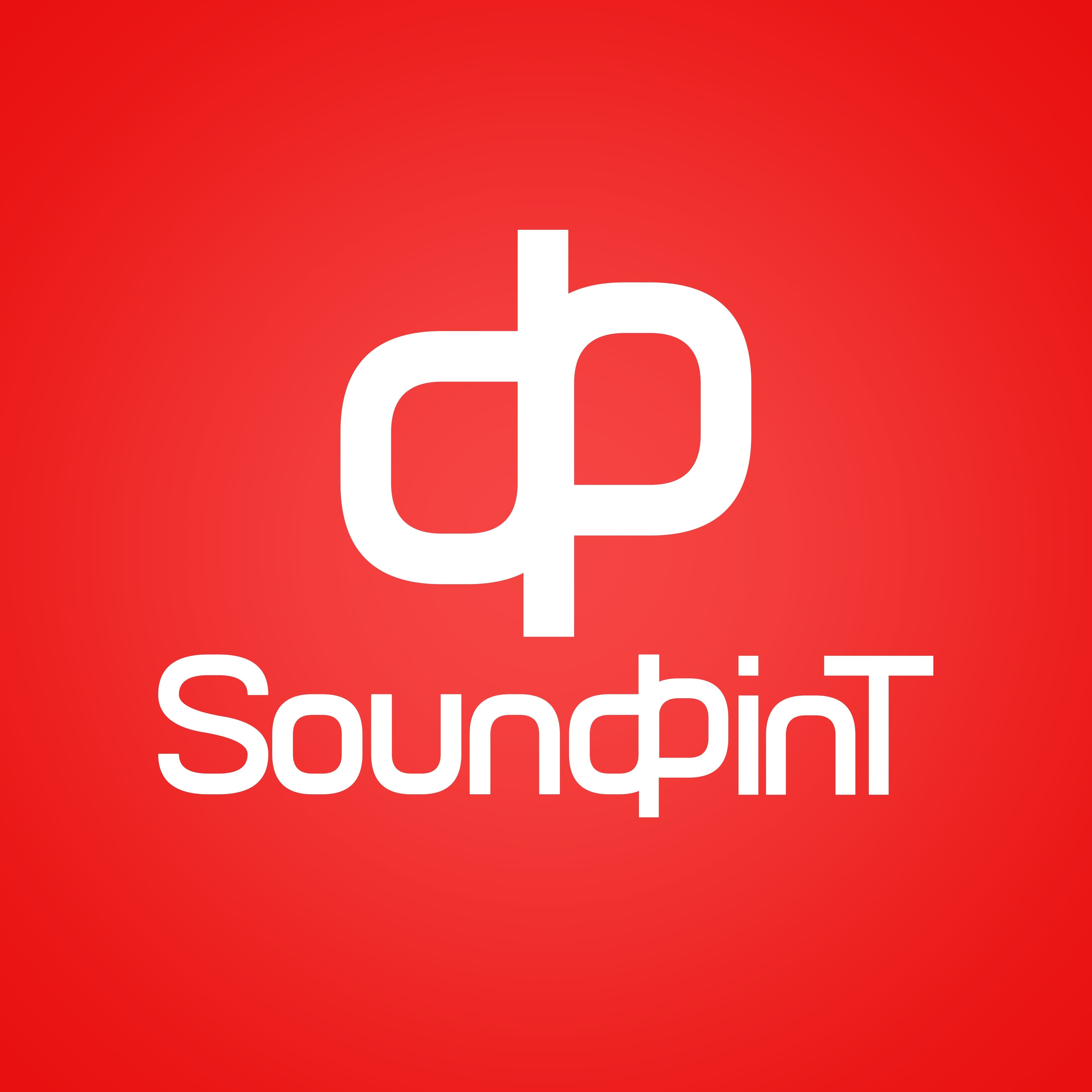SoundPint logo